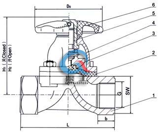 EG11W內(nèi)螺紋隔膜閥 (結(jié)構(gòu)圖)